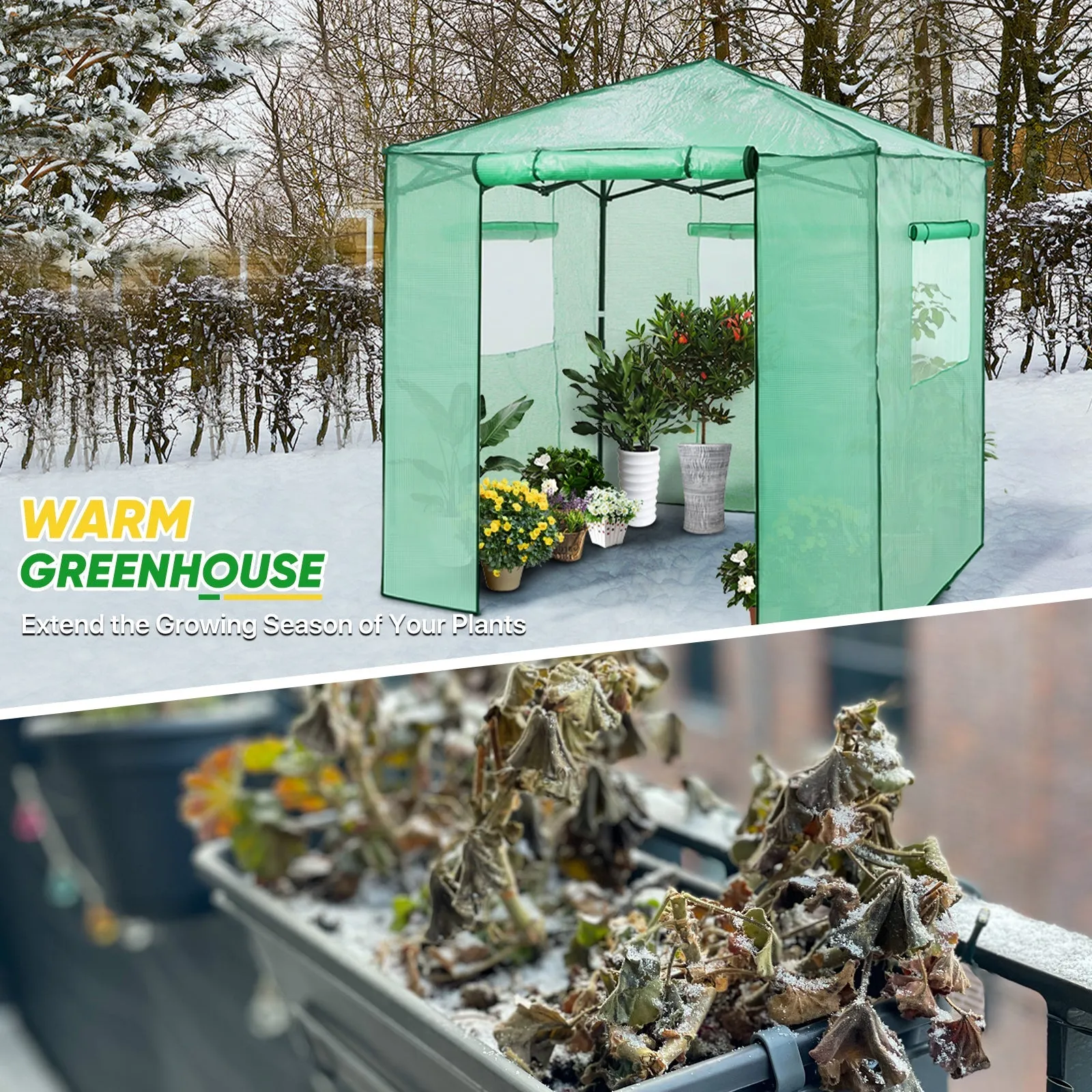 7x7 Pop up Greenhouse Portable Walk-in with 2 Foldable Shelves