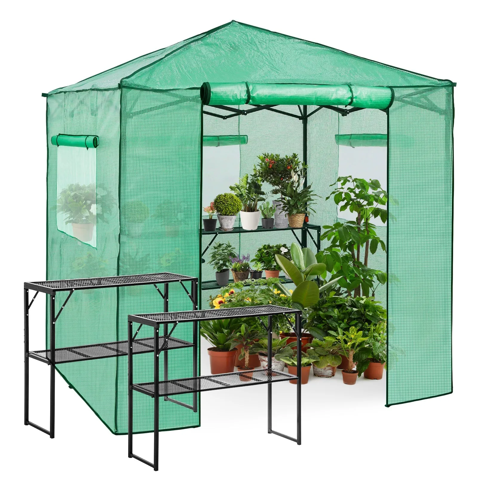 7x7 Pop up Greenhouse Portable Walk-in with 2 Foldable Shelves