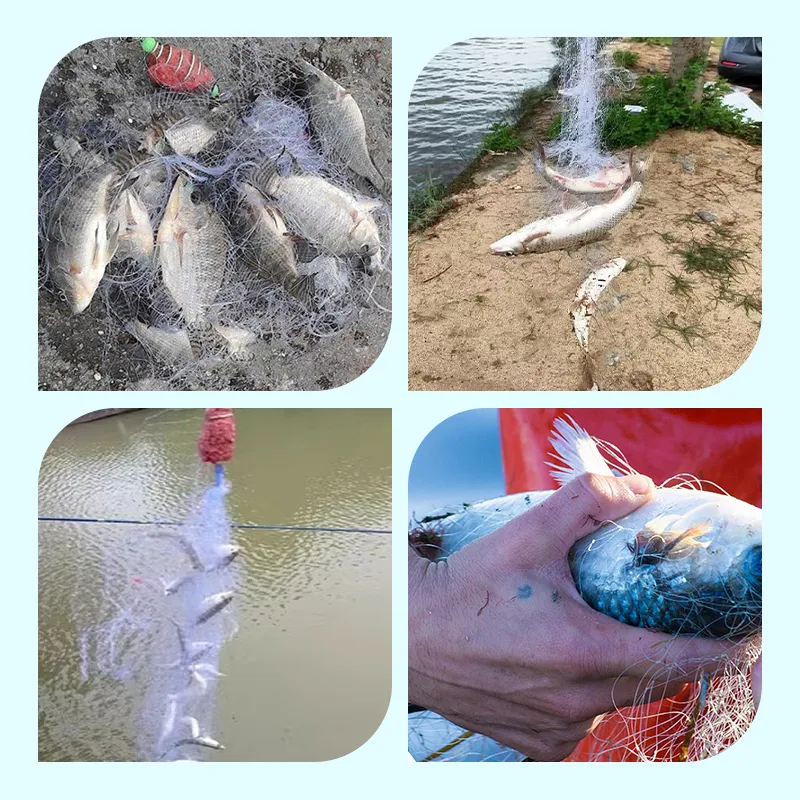 Buy 1 Get 1 FreeFishing Gill Net with Spring Bait Trap