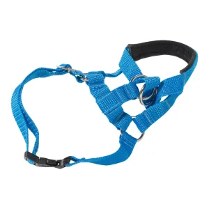 Dogs My Love Dog Head Collar